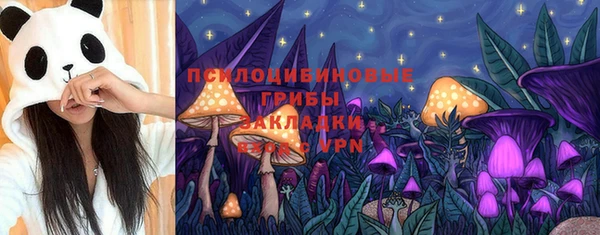прущая мука Верхний Тагил