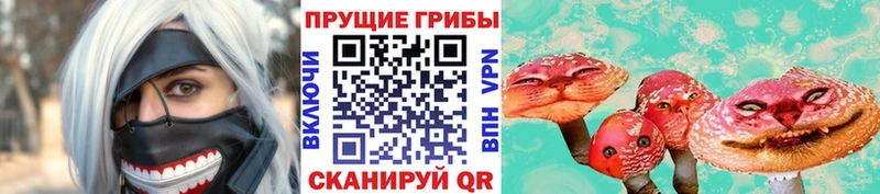 Галлюциногенные грибы GOLDEN TEACHER Новая Усмань